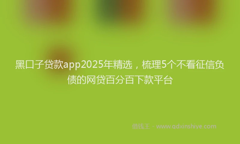 黑口子贷款app2025年精选，梳理5个不看征信负债的网贷百分百下款平台