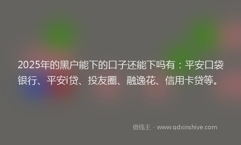 2025年的黑户能下的口子还能下吗有：平安口袋银行、平安i贷、投友圈、融逸花、信用卡贷等。