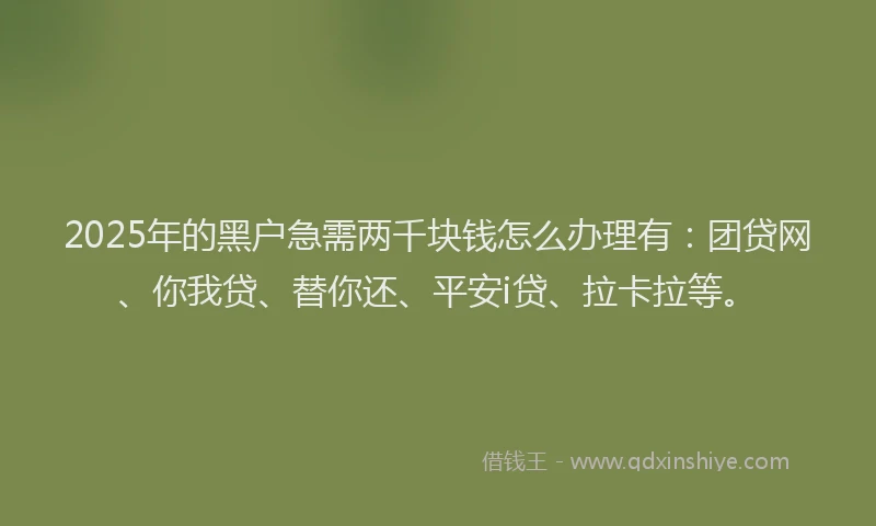 2025年的黑户急需两千块钱怎么办理有：团贷网、你我贷、替你还、平安i贷、拉卡拉等。