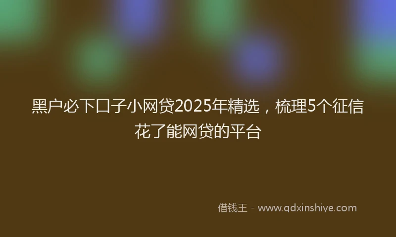 黑户必下口子小网贷2025年精选，梳理5个征信花了能网贷的平台