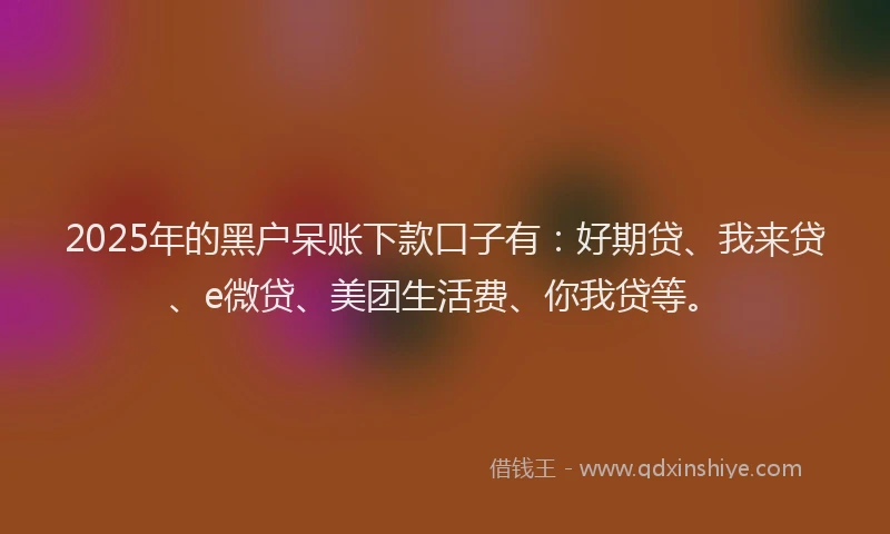 2025年的黑户呆账下款口子有：好期贷、我来贷、e微贷、美团生活费、你我贷等。