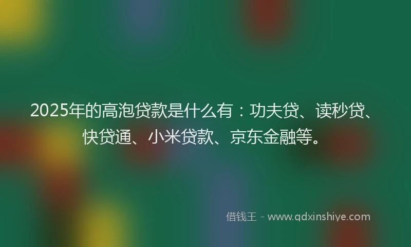2025年的高泡贷款是什么有：功夫贷、读秒贷、快贷通、小米贷款、京东金融等。
