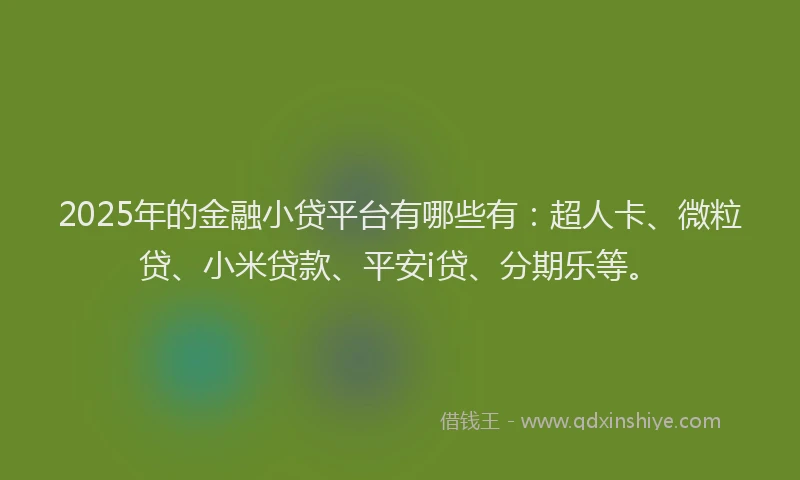 2025年的金融小贷平台有哪些有：超人卡、微粒贷、小米贷款、平安i贷、分期乐等。