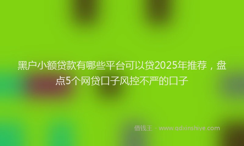黑户小额贷款有哪些平台可以贷2025年推荐，盘点5个网贷口子风控不严的口子