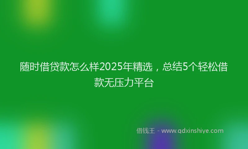 随时借贷款怎么样2025年精选，总结5个轻松借款无压力平台