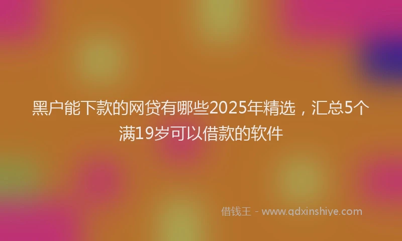 黑户能下款的网贷有哪些2025年精选，汇总5个满19岁可以借款的软件