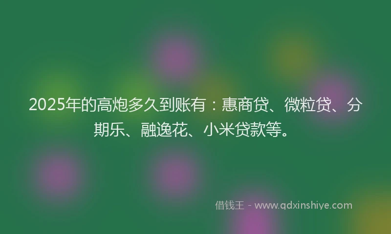2025年的高炮多久到账有：惠商贷、微粒贷、分期乐、融逸花、小米贷款等。