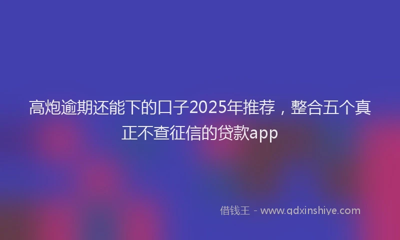 高炮逾期还能下的口子2025年推荐，整合五个真正不查征信的贷款app