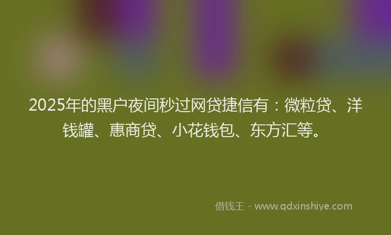 2025年的黑户夜间秒过网贷捷信有：微粒贷、洋钱罐、惠商贷、小花钱包、东方汇等。