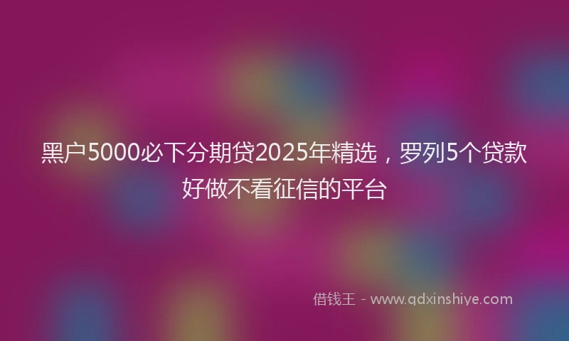 黑户5000必下分期贷2025年精选，罗列5个贷款好做不看征信的平台