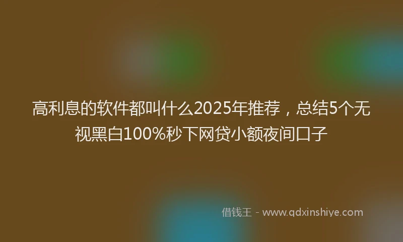 高利息的软件都叫什么2025年推荐，总结5个无视黑白100%秒下网贷小额夜间口子