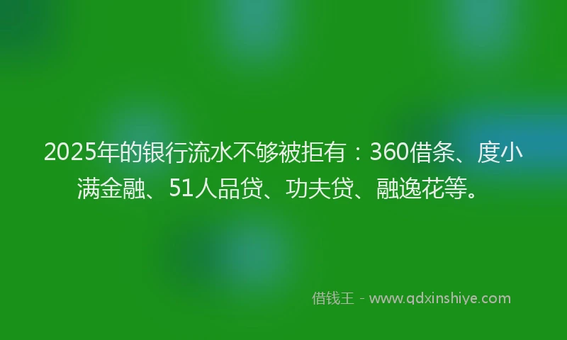 2025年的银行流水不够被拒有：360借条、度小满金融、51人品贷、功夫贷、融逸花等。