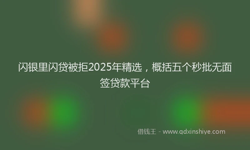 闪银里闪贷被拒2025年精选，概括五个秒批无面签贷款平台