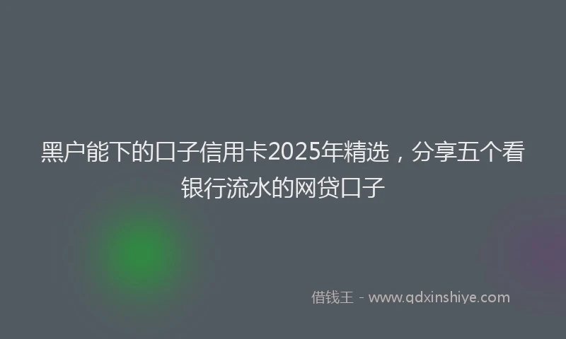 黑户能下的口子信用卡2025年精选，分享五个看银行流水的网贷口子
