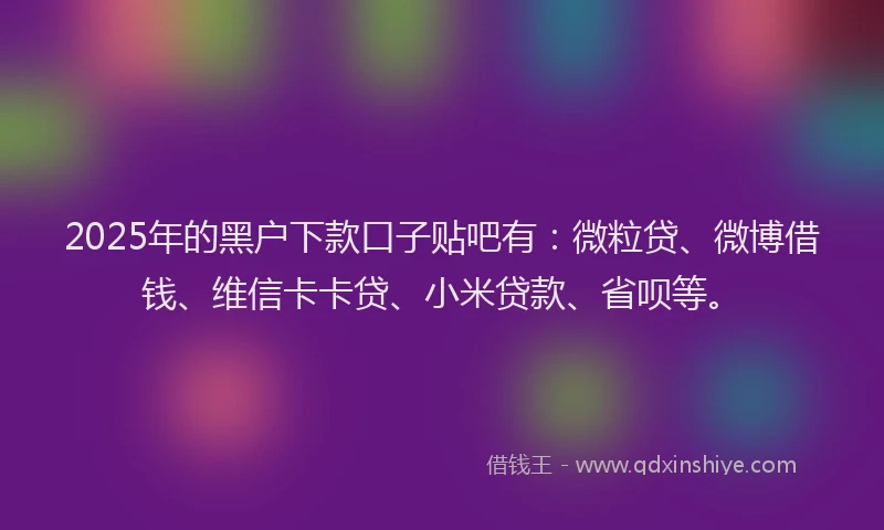 2025年的黑户下款口子贴吧有：微粒贷、微博借钱、维信卡卡贷、小米贷款、省呗等。