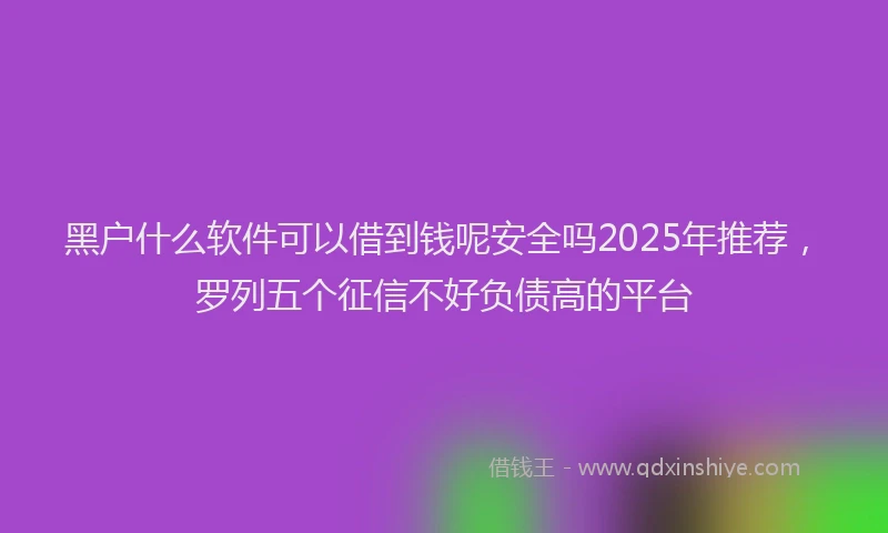 黑户什么软件可以借到钱呢安全吗2025年推荐，罗列五个征信不好负债高的平台
