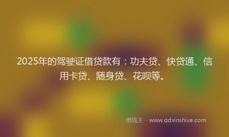 2025年的驾驶证借贷款有：功夫贷、快贷通、信用卡贷、随身贷、花呗等。