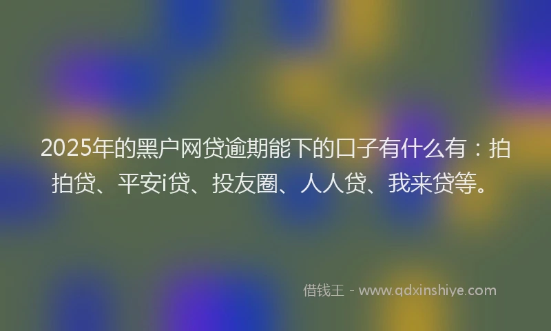 2025年的黑户网贷逾期能下的口子有什么有：拍拍贷、平安i贷、投友圈、人人贷、我来贷等。