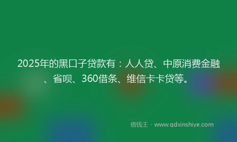 2025年的黑口子贷款有：人人贷、中原消费金融、省呗、360借条、维信卡卡贷等。