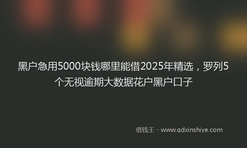 黑户急用5000块钱哪里能借2025年精选，罗列5个无视逾期大数据花户黑户口子