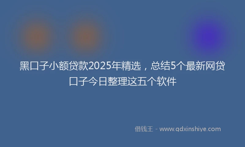 黑口子小额贷款2025年精选，总结5个最新网贷口子今日整理这五个软件