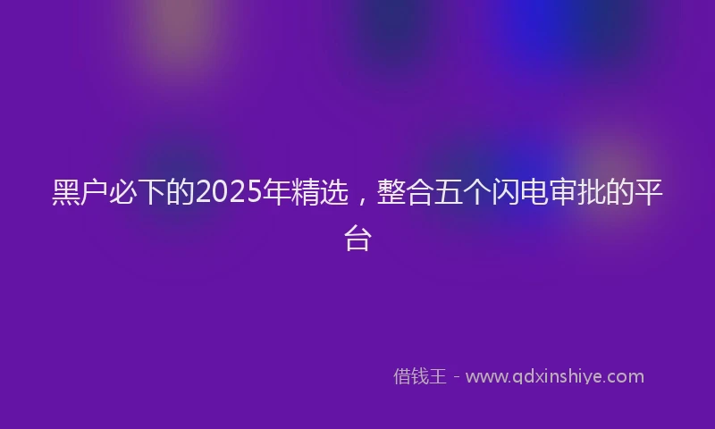 黑户必下的2025年精选，整合五个闪电审批的平台