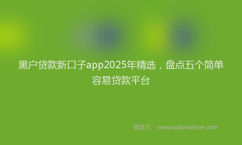 黑户贷款新口子app2025年精选，盘点五个简单容易贷款平台