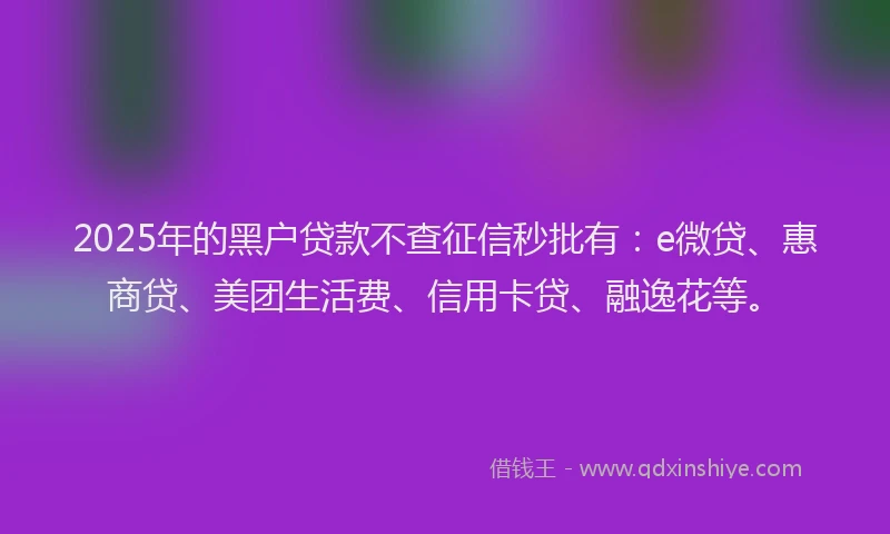 2025年的黑户贷款不查征信秒批有：e微贷、惠商贷、美团生活费、信用卡贷、融逸花等。
