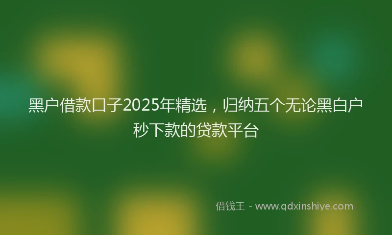 黑户借款口子2025年精选，归纳五个无论黑白户秒下款的贷款平台