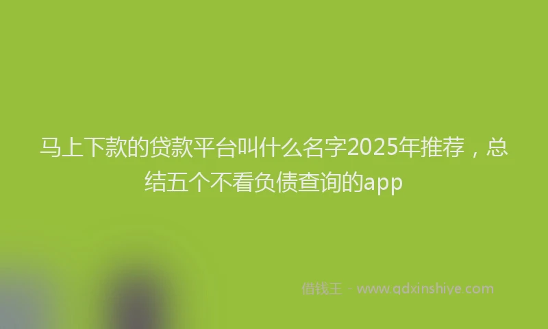 马上下款的贷款平台叫什么名字2025年推荐，总结五个不看负债查询的app