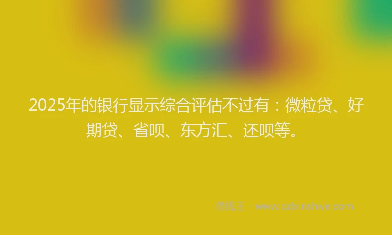 2025年的银行显示综合评估不过有：微粒贷、好期贷、省呗、东方汇、还呗等。