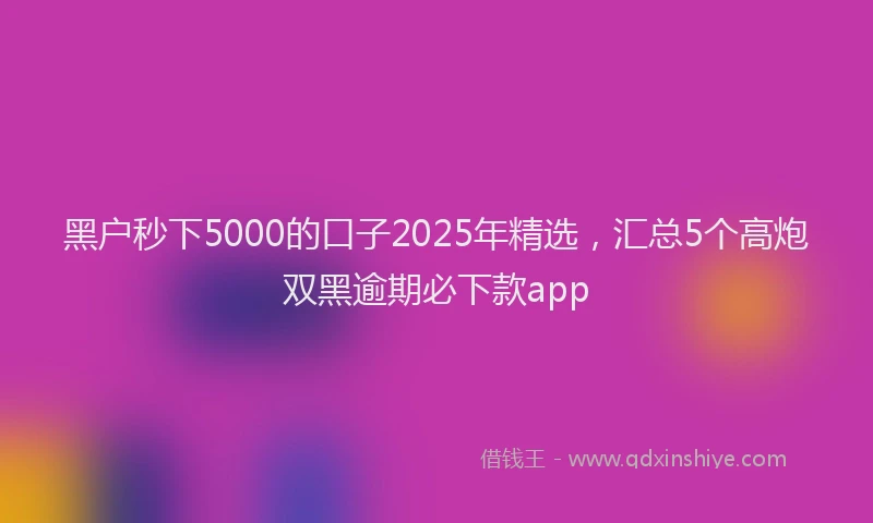 黑户秒下5000的口子2025年精选，汇总5个高炮双黑逾期必下款app