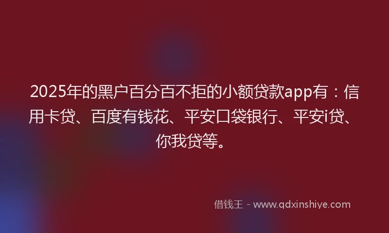 2025年的黑户百分百不拒的小额贷款app有：信用卡贷、百度有钱花、平安口袋银行、平安i贷、你我贷等。