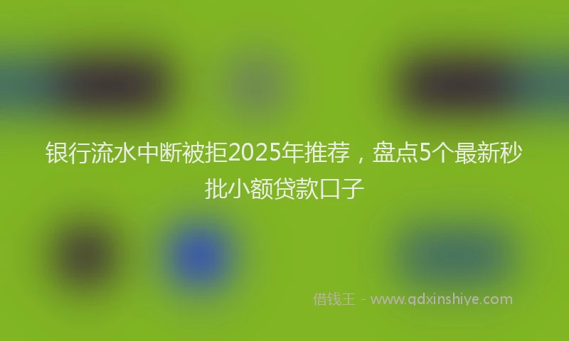 银行流水中断被拒2025年推荐，盘点5个最新秒批小额贷款口子