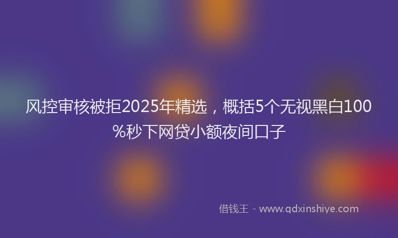 风控审核被拒2025年精选，概括5个无视黑白100%秒下网贷小额夜间口子