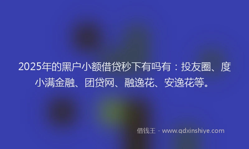 2025年的黑户小额借贷秒下有吗有：投友圈、度小满金融、团贷网、融逸花、安逸花等。