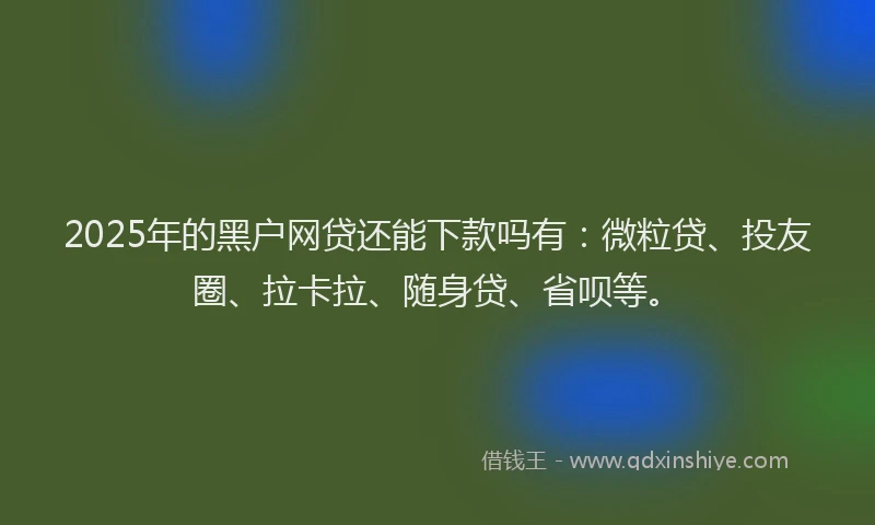 2025年的黑户网贷还能下款吗有：微粒贷、投友圈、拉卡拉、随身贷、省呗等。