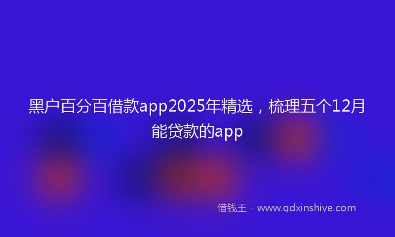 黑户百分百借款app2025年精选，梳理五个12月能贷款的app