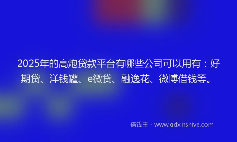 2025年的高炮贷款平台有哪些公司可以用有：好期贷、洋钱罐、e微贷、融逸花、微博借钱等。