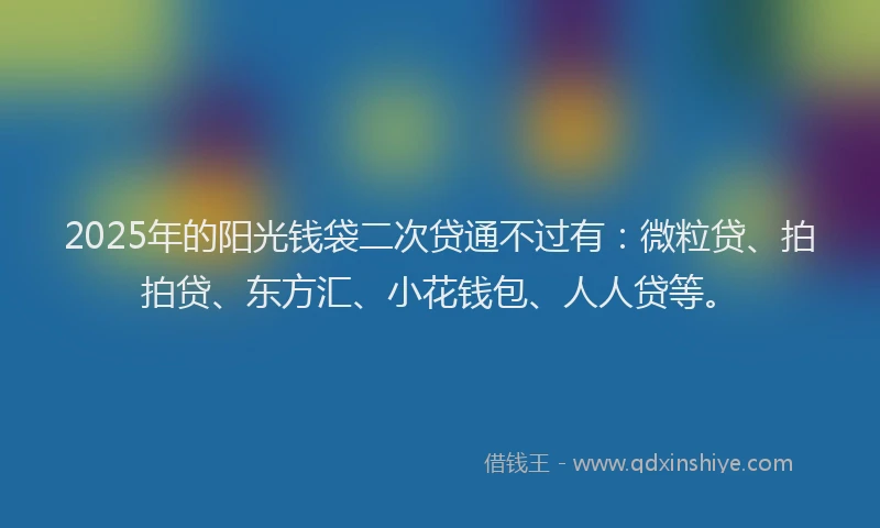 2025年的阳光钱袋二次贷通不过有：微粒贷、拍拍贷、东方汇、小花钱包、人人贷等。