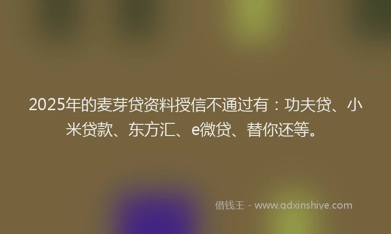 2025年的麦芽贷资料授信不通过有：功夫贷、小米贷款、东方汇、e微贷、替你还等。