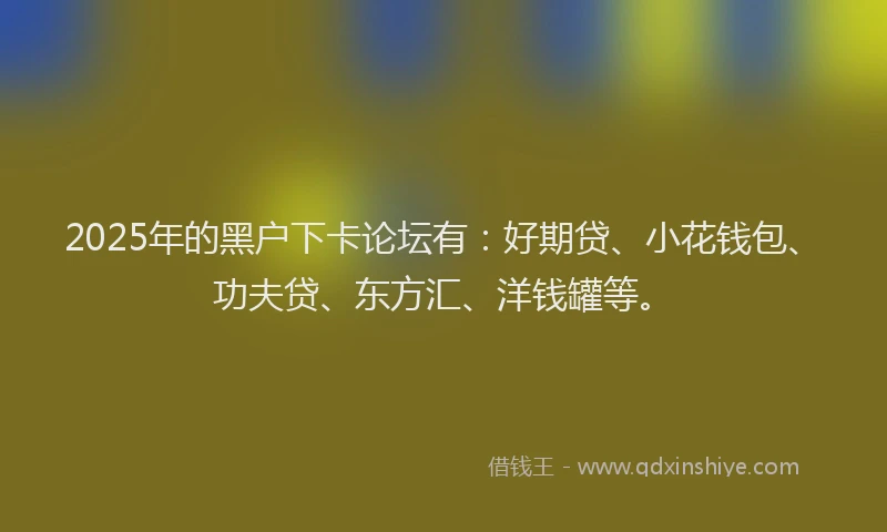 2025年的黑户下卡论坛有：好期贷、小花钱包、功夫贷、东方汇、洋钱罐等。