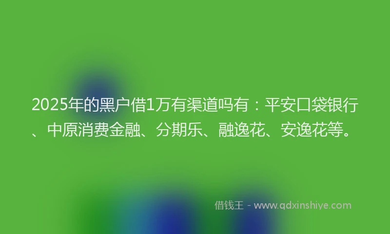 2025年的黑户借1万有渠道吗有：平安口袋银行、中原消费金融、分期乐、融逸花、安逸花等。