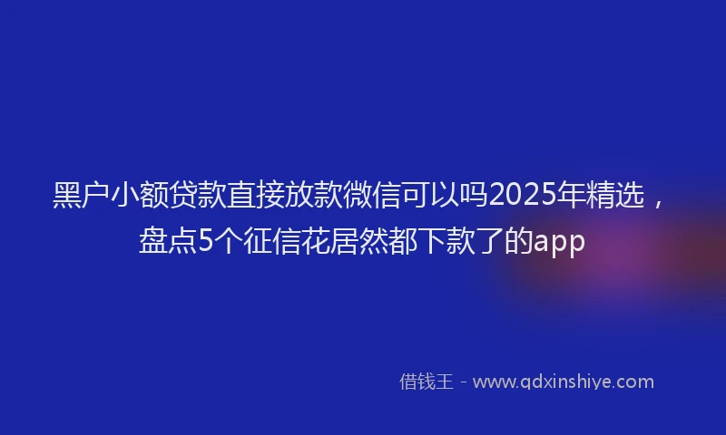 黑户小额贷款直接放款微信可以吗2025年精选，盘点5个征信花居然都下款了的app