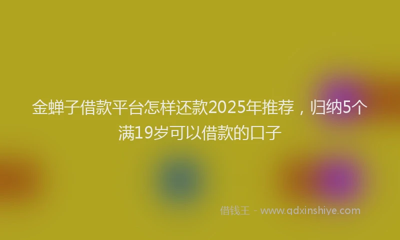 金蝉子借款平台怎样还款2025年推荐，归纳5个满19岁可以借款的口子