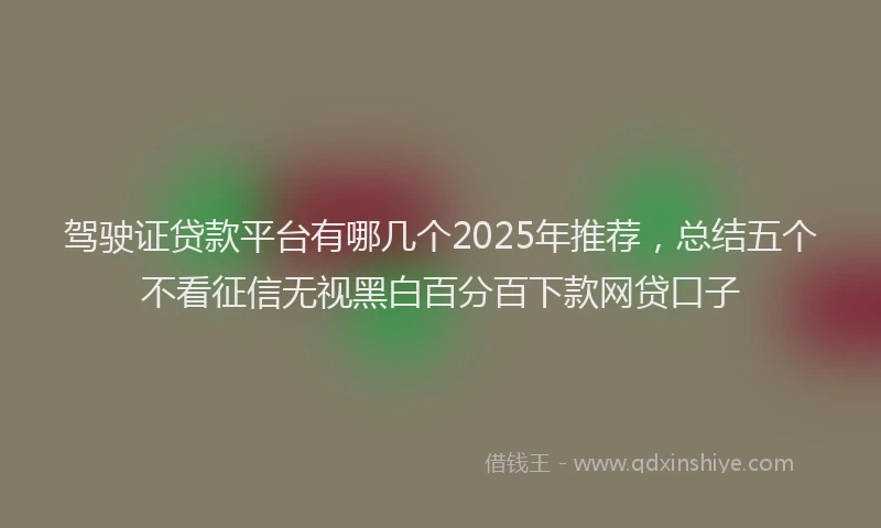 驾驶证贷款平台有哪几个2025年推荐，总结五个不看征信无视黑白百分百下款网贷口子