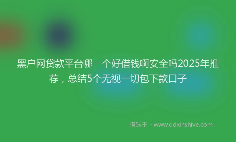黑户网贷款平台哪一个好借钱啊安全吗2025年推荐，总结5个无视一切包下款口子