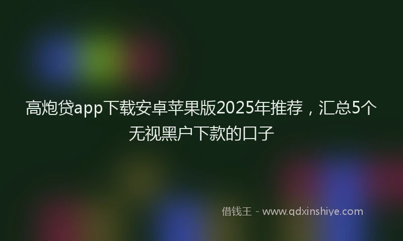 高炮贷app下载安卓苹果版2025年推荐，汇总5个无视黑户下款的口子