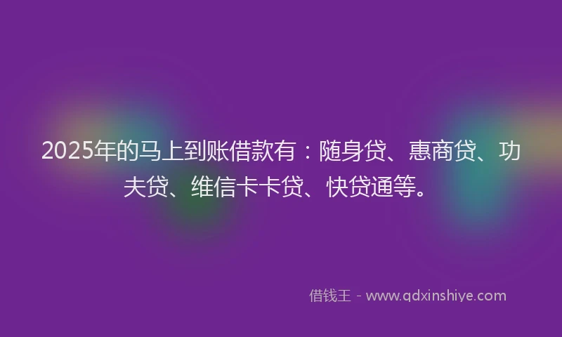 2025年的马上到账借款有：随身贷、惠商贷、功夫贷、维信卡卡贷、快贷通等。