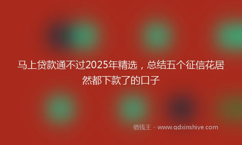马上贷款通不过2025年精选，总结五个征信花居然都下款了的口子